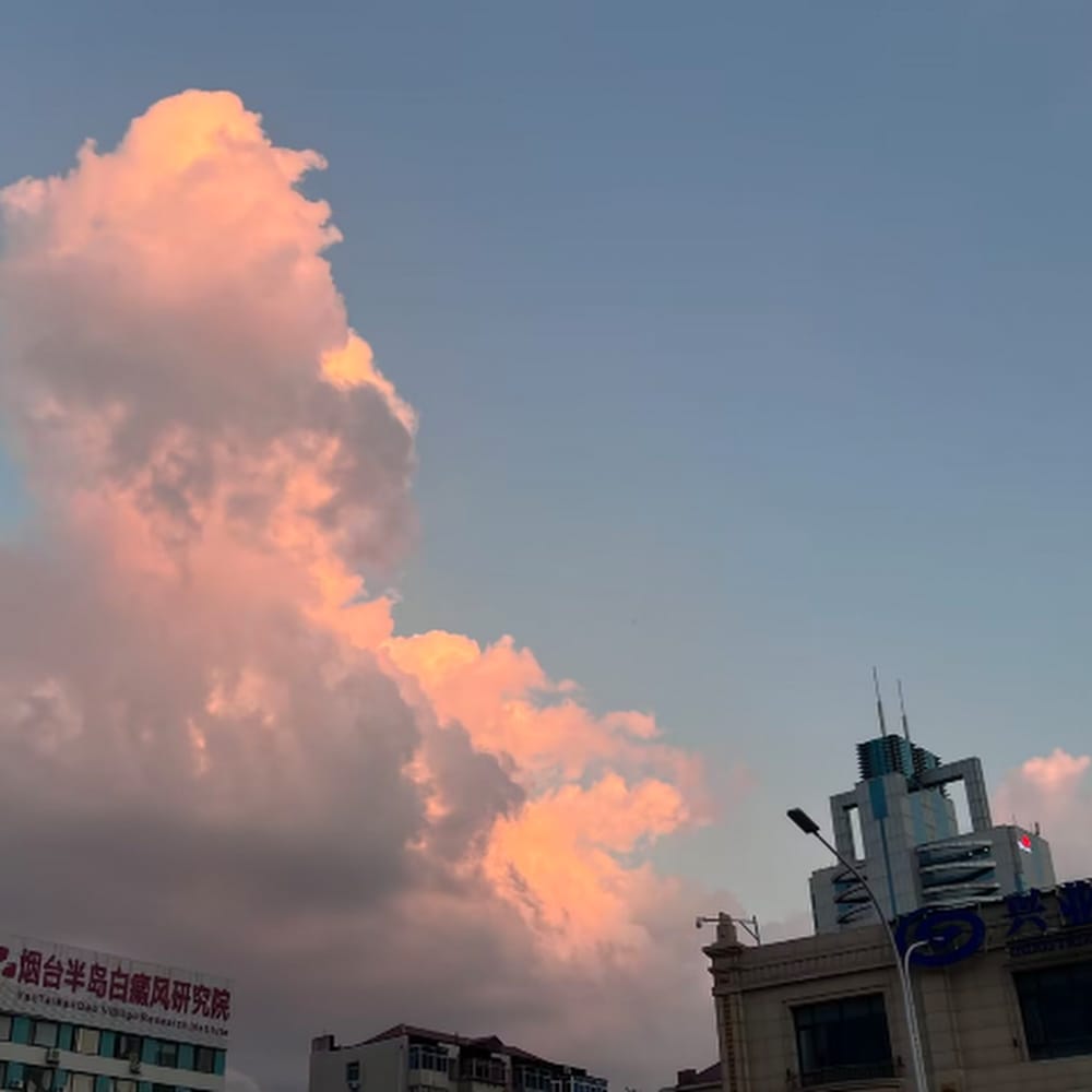 乌龙茶