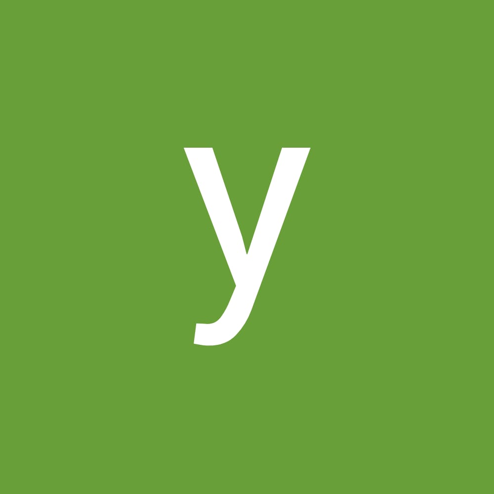 yangsir