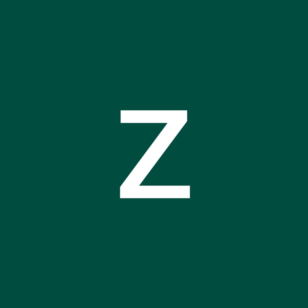 zz_411