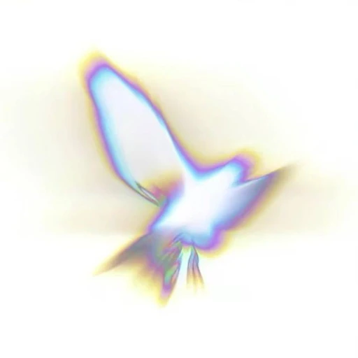 海明Dev