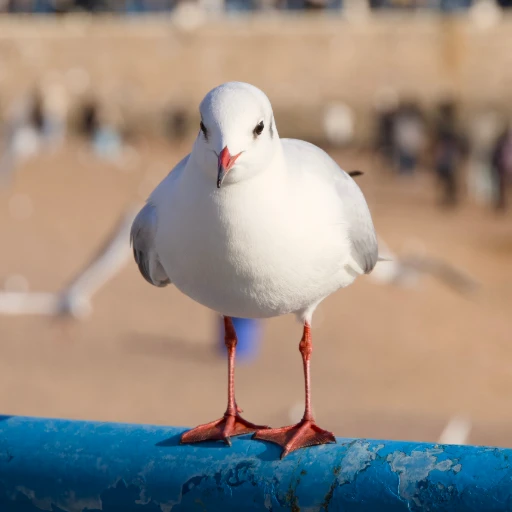 折节