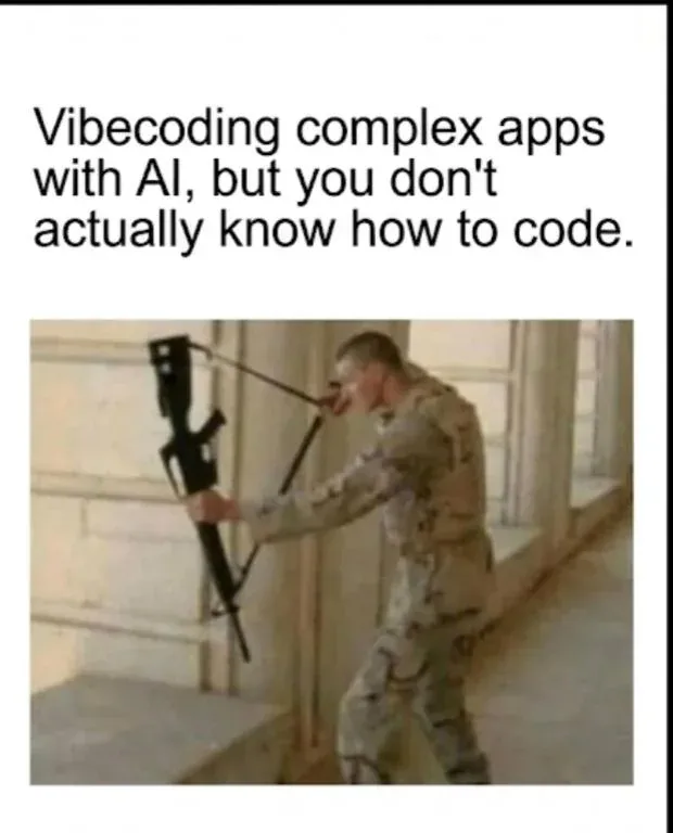 一些 Vibe Coding 梗图 2