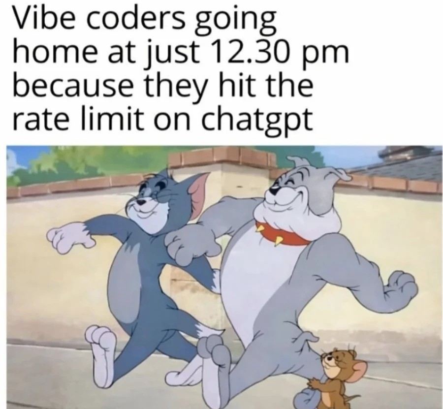 Vibe Coding 今日梗图 1