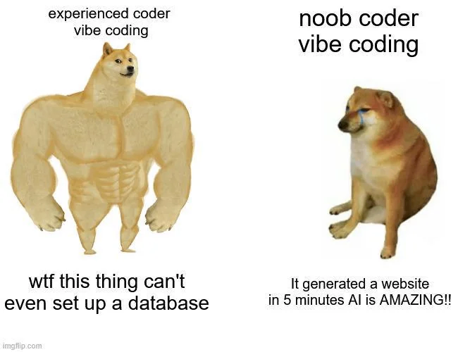 Vibe Coding 今日梗图 4