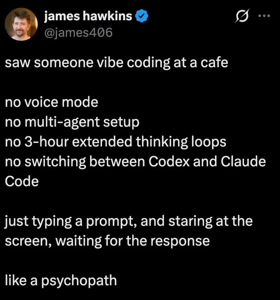 Vibe Coding 今日梗图 1