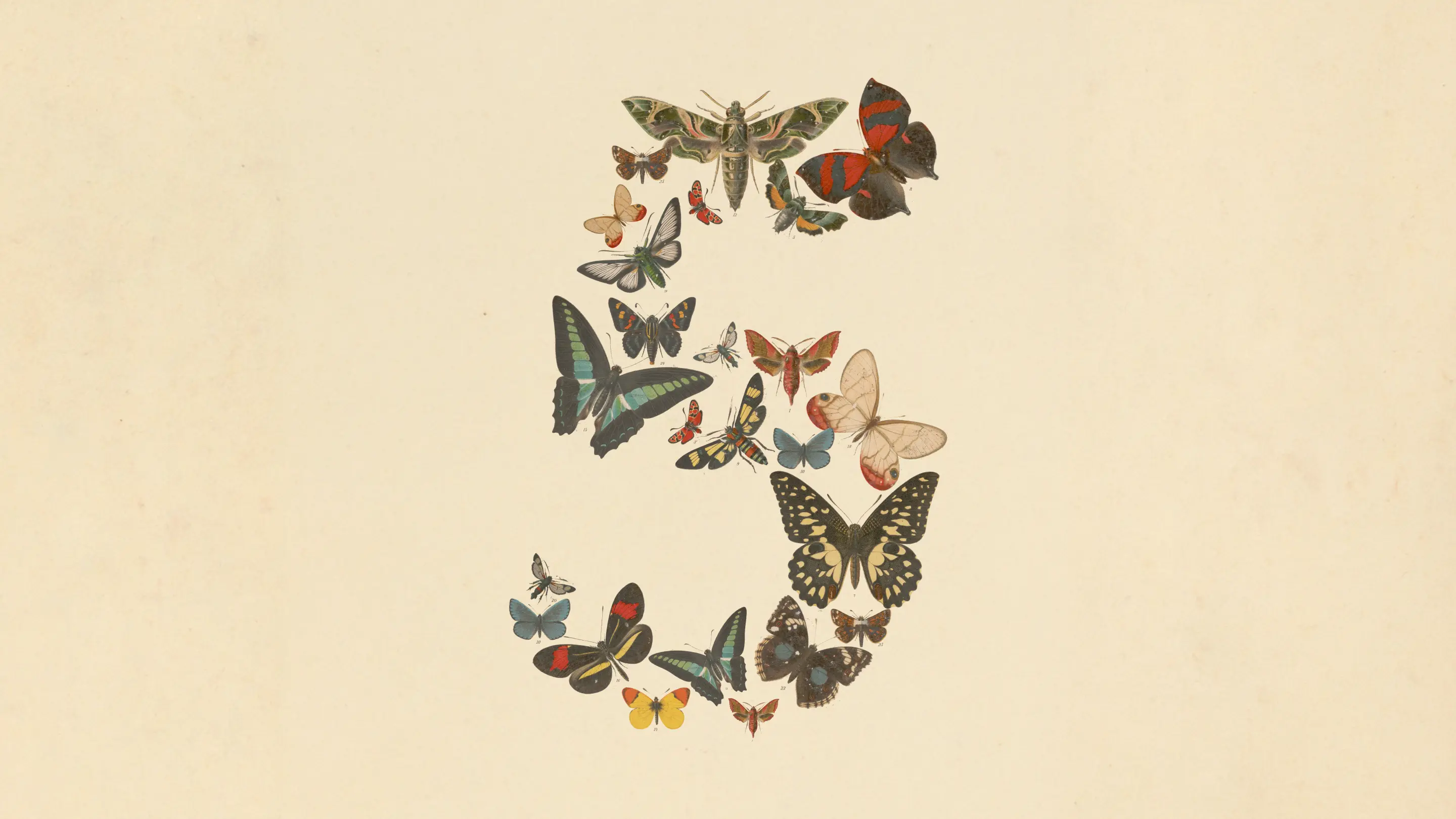 Anthropic 发布 Claude Fable 5（安全版 Mythos 5） 1
