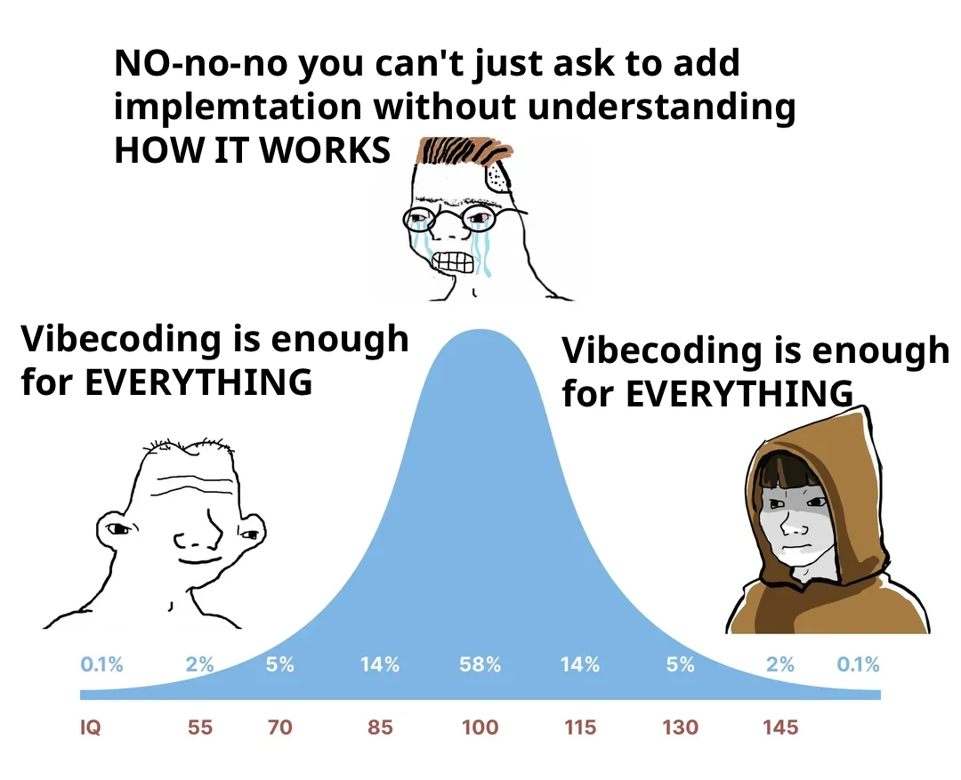 Vibe Coding 今日梗图 3