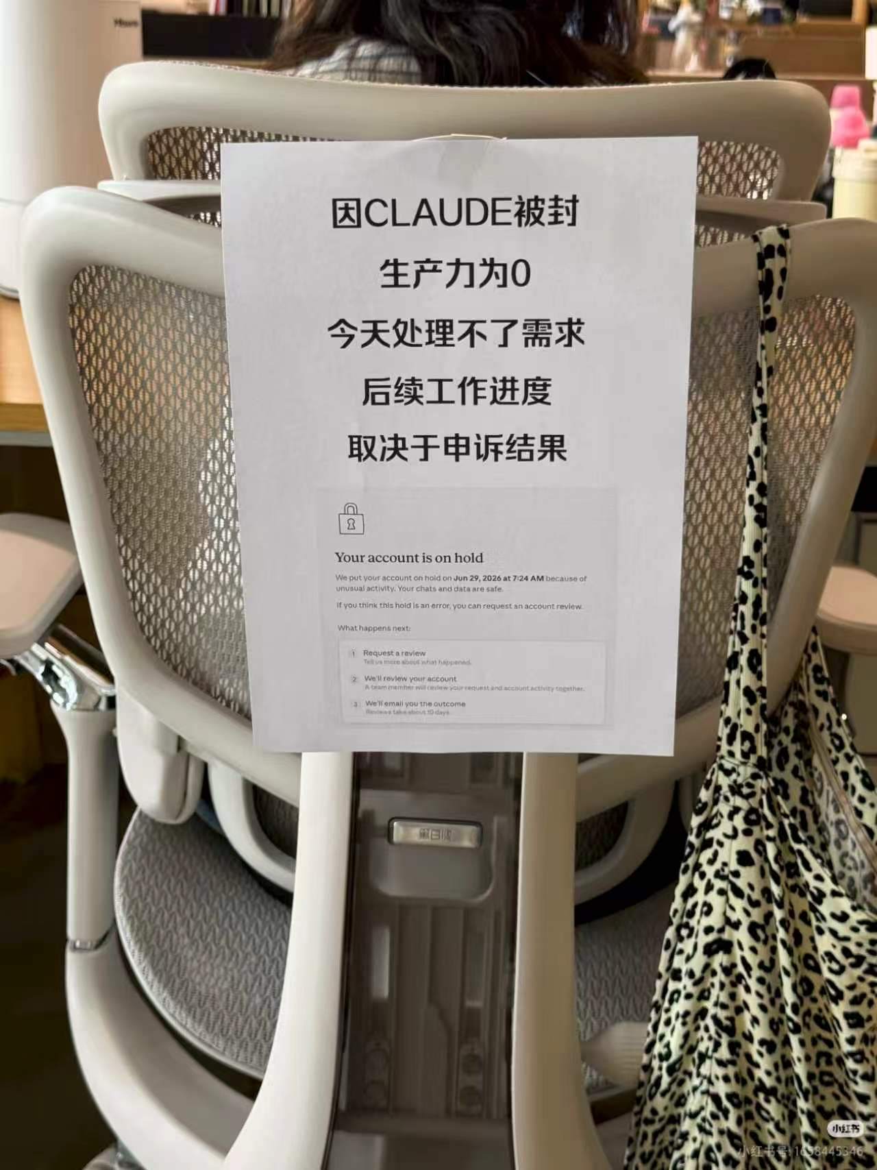 今天我的 Claude 被 ban 后的状态 1