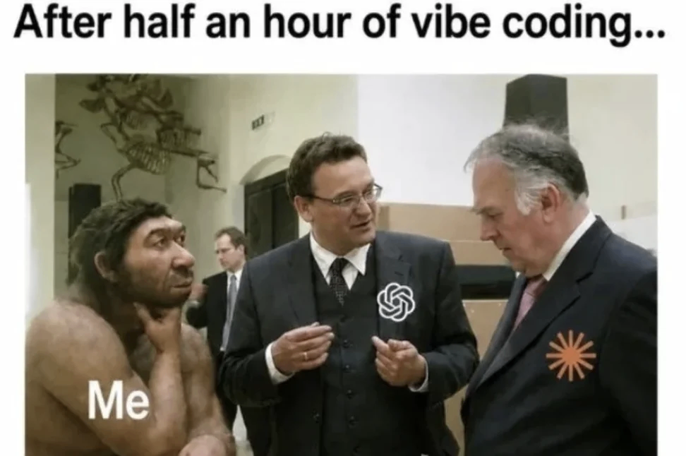 Vibe Coding 今日梗图 2