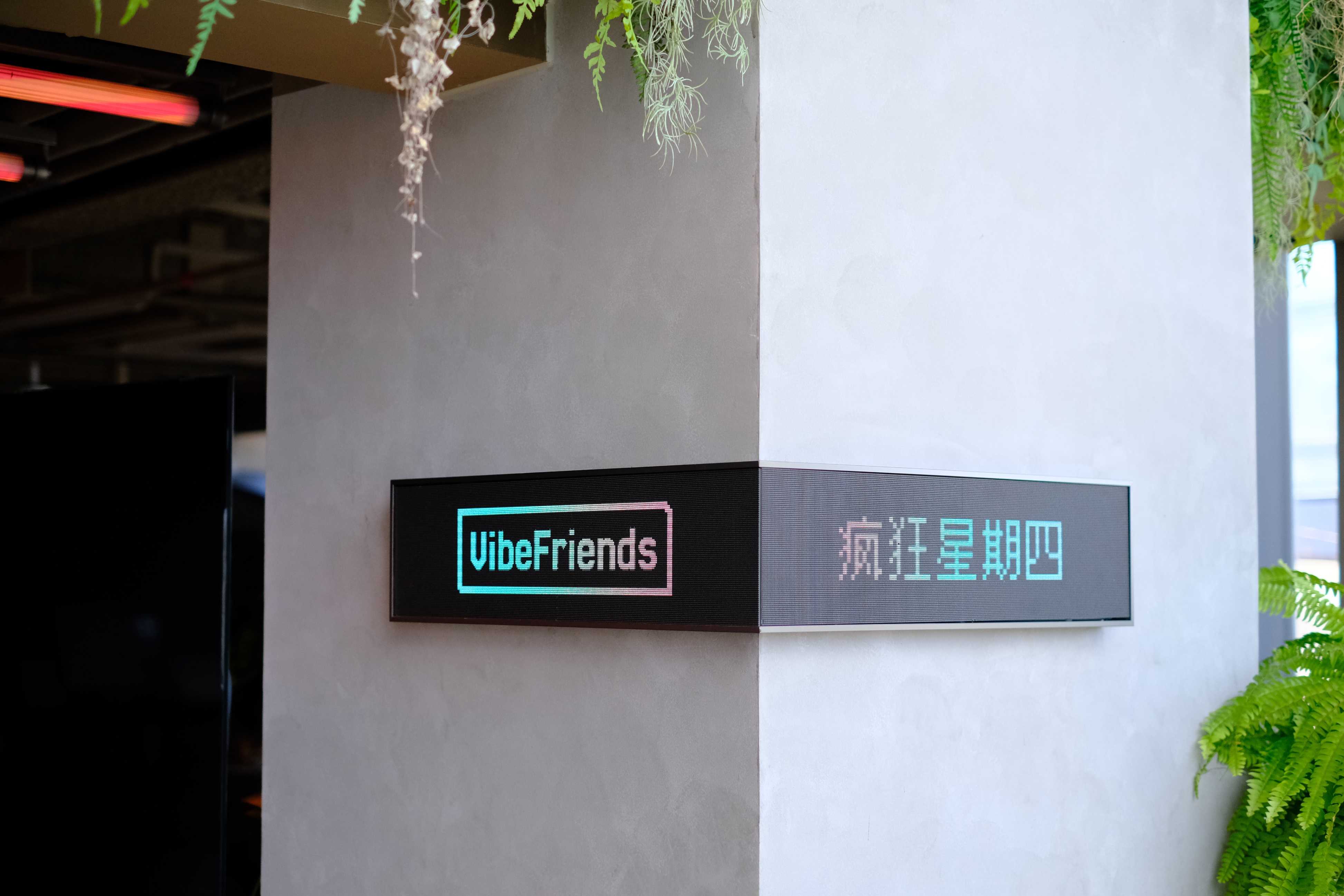 Vibe Friends 静物 2